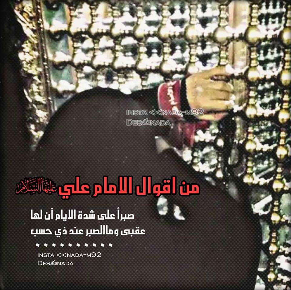 من أقوال الأمام علي ( عليه السلام )
