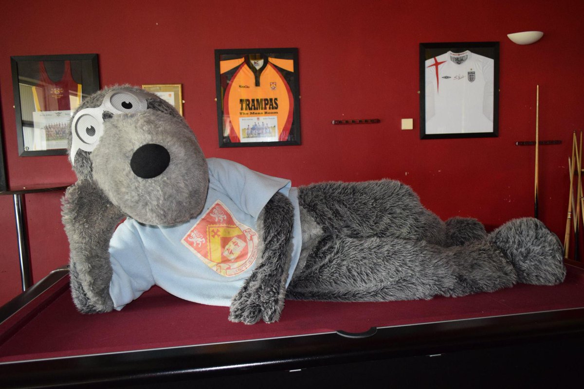 ButlerMole's tweet image. They see me Mole'n, They Hatin' #swag