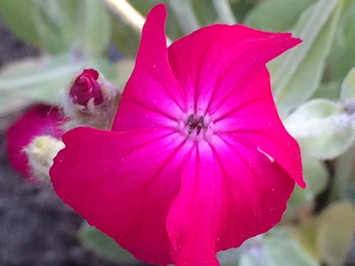 boxedviolet's tweet image. Beauty exposed...