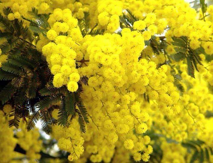 anastafleu's tweet photo. http://t.co/KtN6aA4ZcM