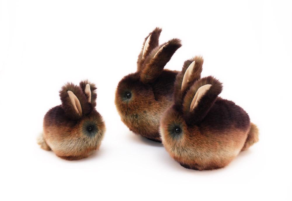 Fuzziggles tweet media