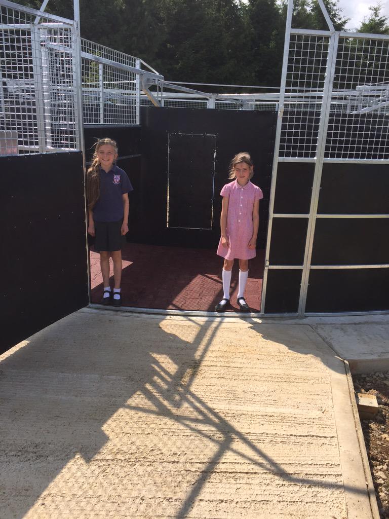 fergalobrien07's tweet photo. Fern and Daisy seem fairly pleased with their joint Christmas and birthday present for the next ten years #newyard http://t.co/OrBd2zipvX