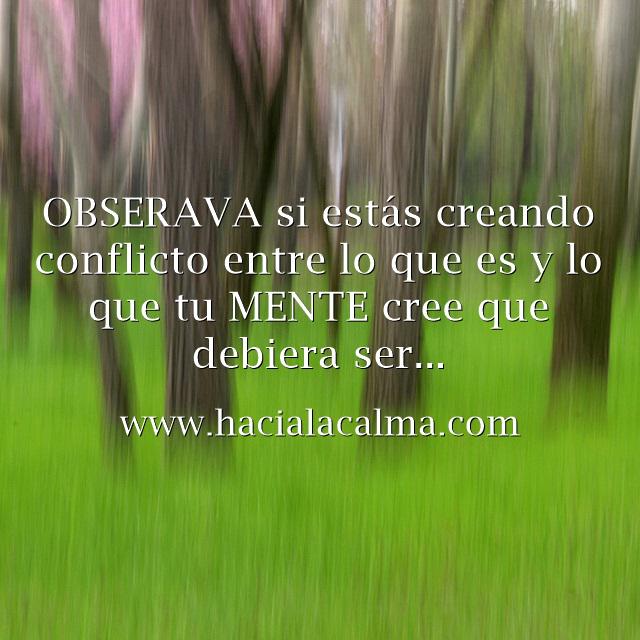 Pensamientosalu's tweet photo. App móvil d mindfulness10 minutos d meditación al día pueden cambiar la vida https://t.co/zOEi1gBRe5  #haciaLaCalma https://t.co/YAEeYlwn1d