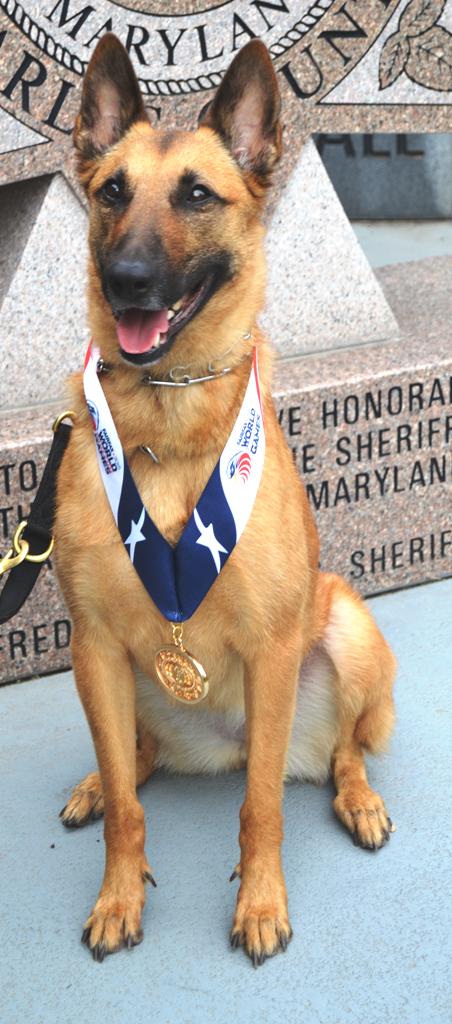 Our four legged athletes made the news ... #wpfg #fairfax2015
thebaynet.com/articles/0715/…