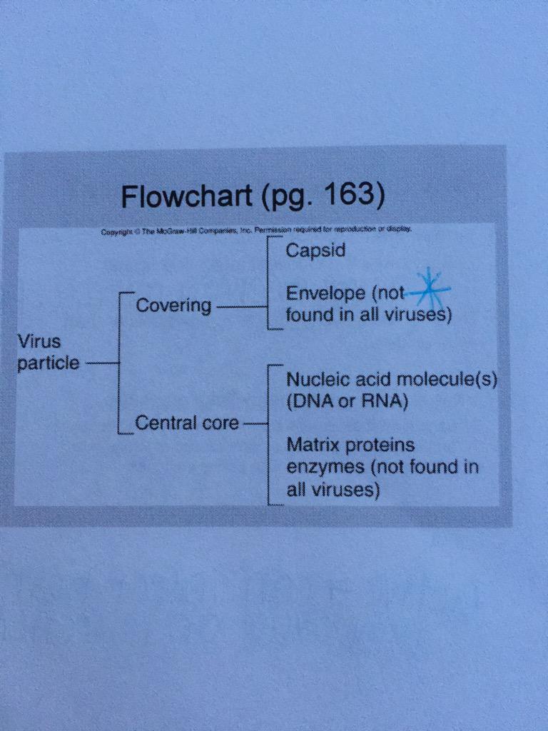 RNKaylaBrown's tweet photo. @mdtrouscher3 @Nurse121 only thing about it in our notes. http://t.co/GljySfUgT9