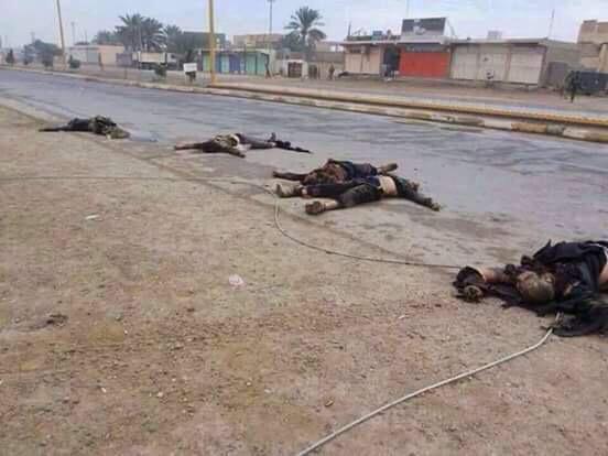 313_313_313's tweet photo. #داعش
#تحت_اقدام الجيش_والحشد‌
#معركة_الفلوجة_الثالثة http://t.co/IyYU77PEeE