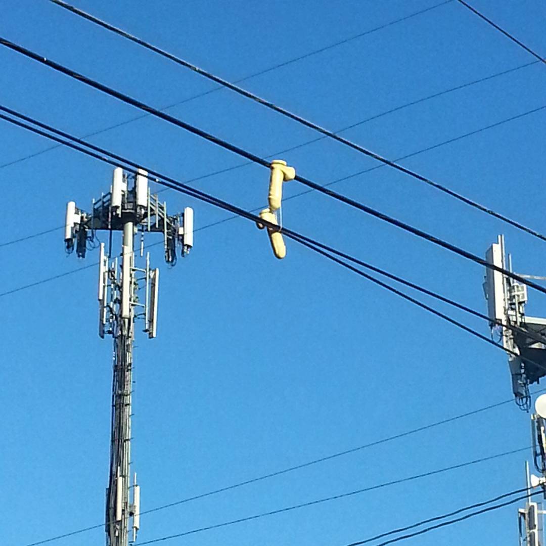 LBGliamstevens's tweet photo. Taboo turns attraction. Dildo falling from the sky! Dildo epidemic hits Portland power lines | http://t.co/LTGQLk7tum http://t.co/Qwr2wsBBbl