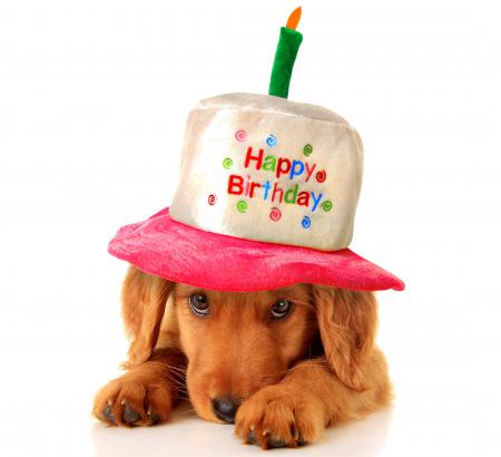 Happy Birthday Hana, hope your having a great day :) 