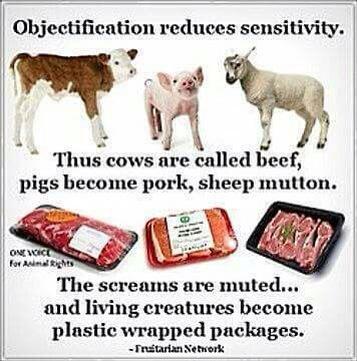 Stephi_Le's tweet photo. Think about who, not what you eat! #farm365 #animalrights #meatismurder #veganism #enterreality #aggag http://t.co/BQpjP0VPxm