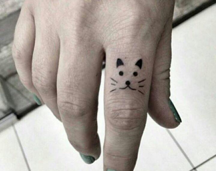 Kedi heryerde 😊