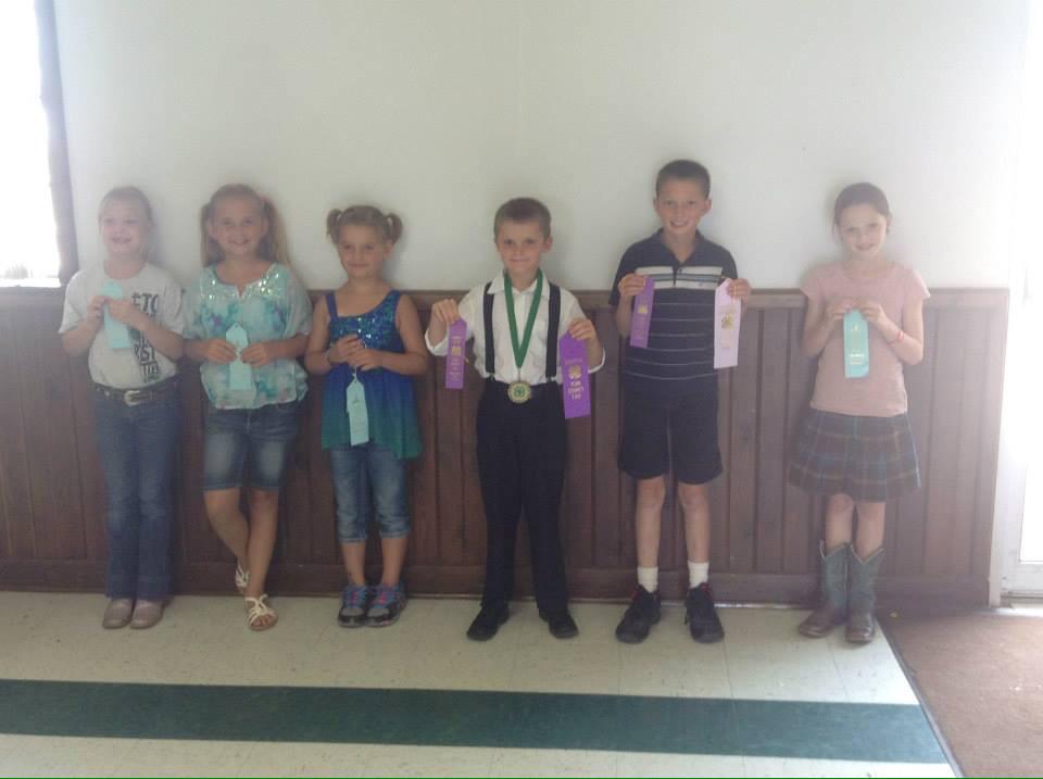 YorkCountyNE_4H's tweet photo. Today's Presentations and Favorite Foods Contests were a success! Congratulations to everyone on all your hard work! http://t.co/w753o8Uo1c