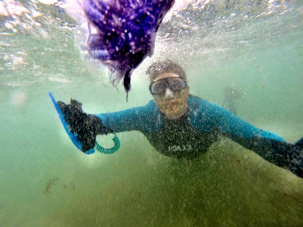 Lizzi_L's tweet photo. Day 25 #100DaysofBlue fearlessly swimming with the jellies hahaha. #BlueMind http://t.co/KD8CFP7VTb
