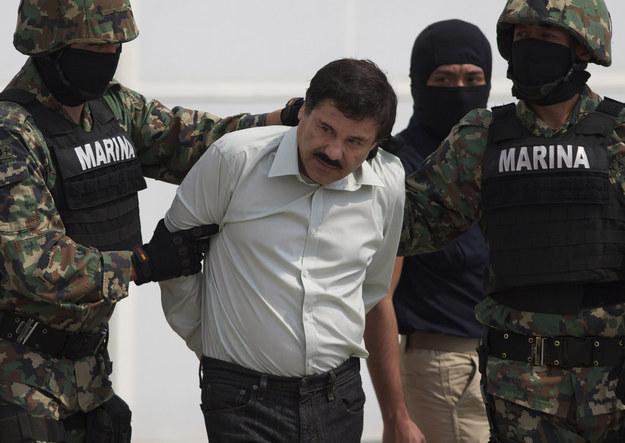 DilTown's tweet image. El Chapo's Family — Or The People Pretending To Be — Are Insanely Popular On Twitter bzfd.it/1HvzLqw #ITRT…