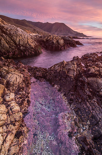 savingoceans's tweet photo. Our #JulyPhotoContest has come to an end; we will announce the winner tomorrow! Photo: Joe Platko #CherishOurCoasts http://t.co/XruFoTMs7i