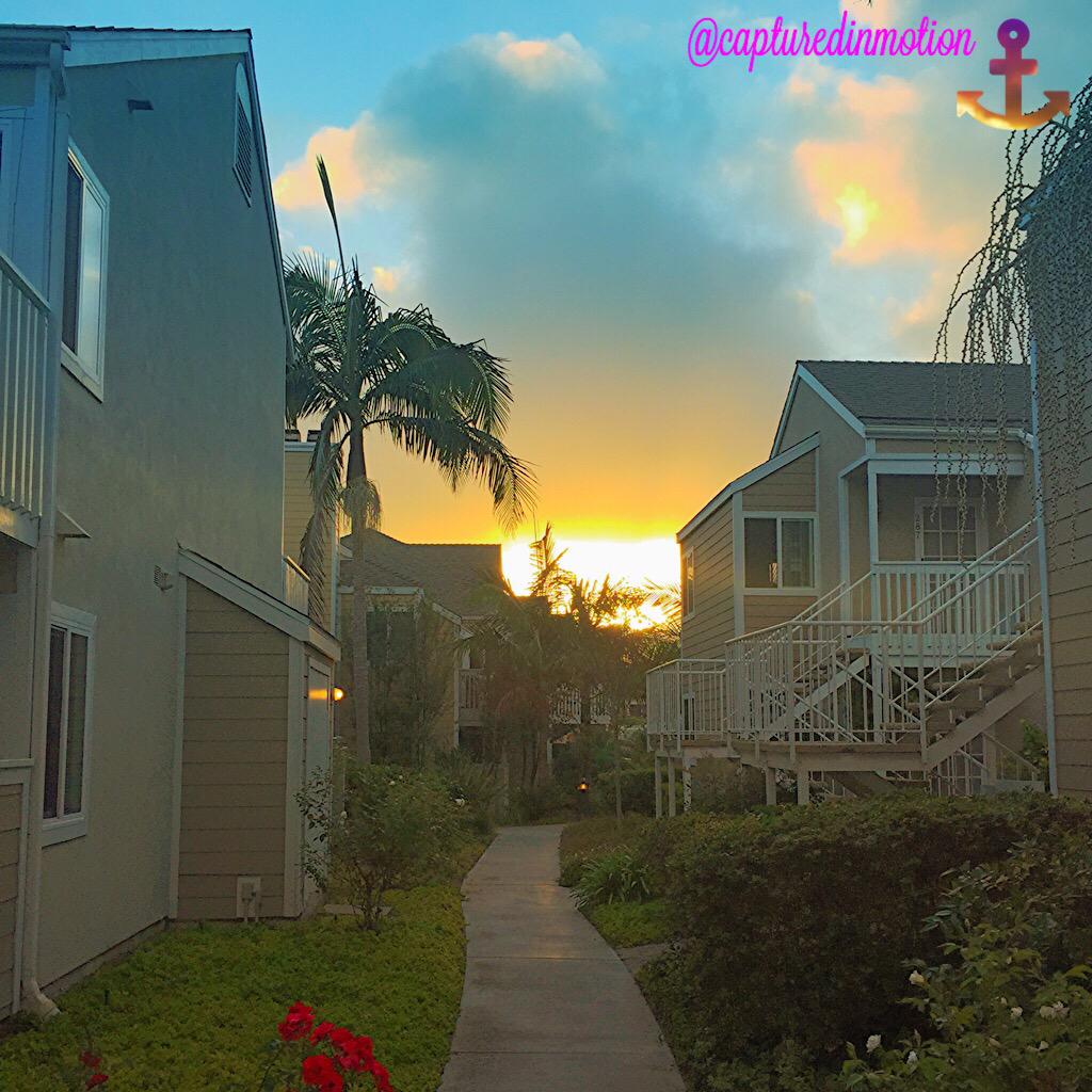 captinmotion's tweet photo. Photos by me. ☀️🐬🐚⚓️ http://t.co/V3w47X7hoS