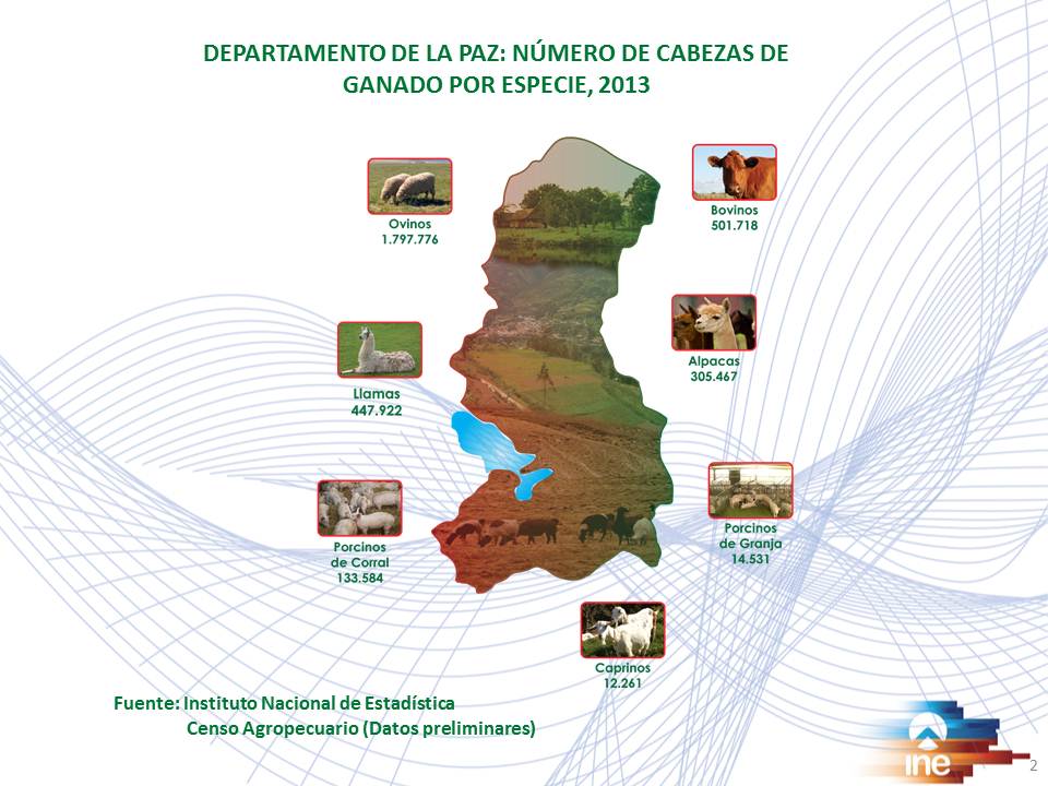 INE_Bolivia's tweet photo. @INEOficialBO saluda a #LaPazCambia
#LaPaz productiva concentra a 69% de población de alpacas http://t.co/VAAOdDW83l http://t.co/yV6JM9Y6ys