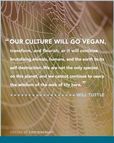 Stephi_Le's tweet photo. There is no planet b! #farm365 #govegan #animalrights #aggag #veganism #enterreality http://t.co/y3GoX1aDJr