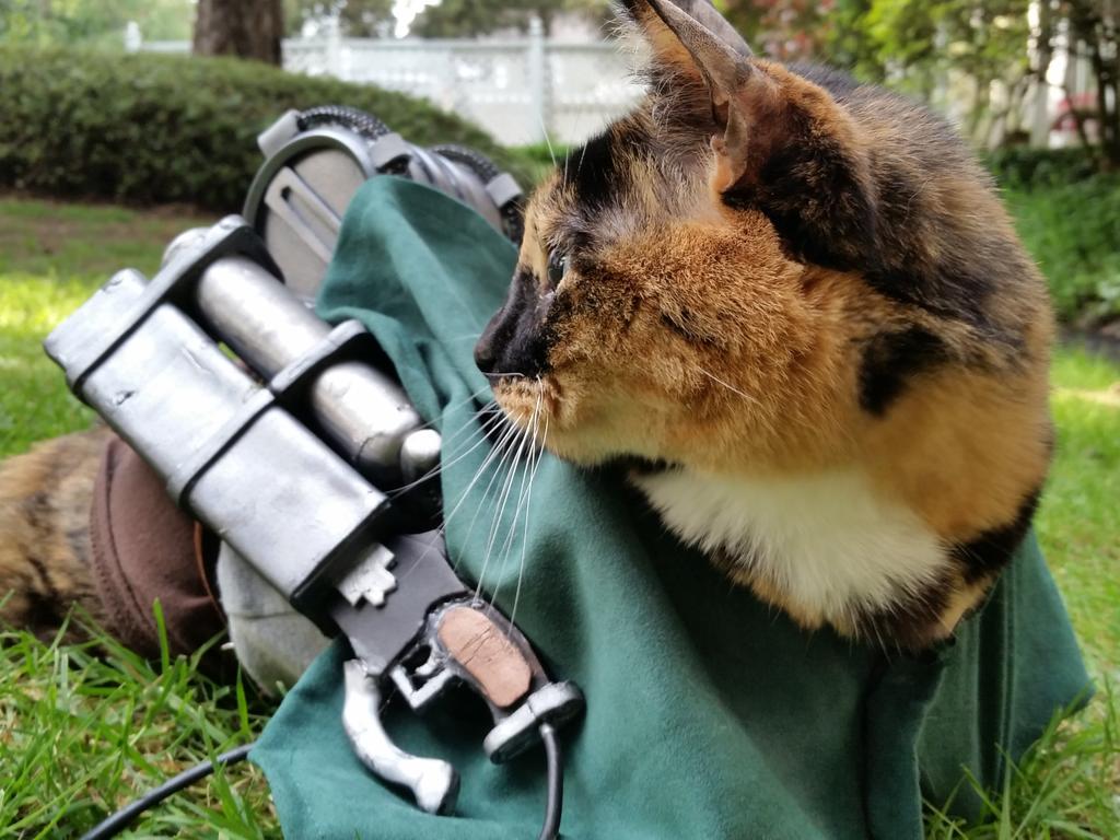 Cat_Cosplay's tweet photo. "Titans..."

Cat Cosplay, Eren Jaeger ("Ereneko")

#AttackOnTitan #Cosplay #aot #snk #進撃の巨人 猫 http://t.co/5ehh1LxBOd