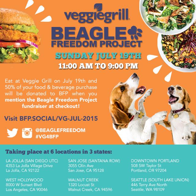 Christi_Lee67's tweet image. #Seattle, eat at S Lk Union @VeggieGrill this Sunday. Mention @beaglefreedom, they get 50%! #VG4BFP