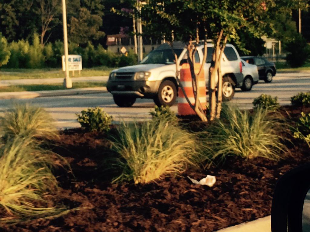 EMDCID's tweet photo. .@EMDCID #beautification project close-up. S/o to @SnapfingerManor for pics. Great work by @RLG_LLC #SouthDeKalb #CID http://t.co/tpHK7sWbCI
