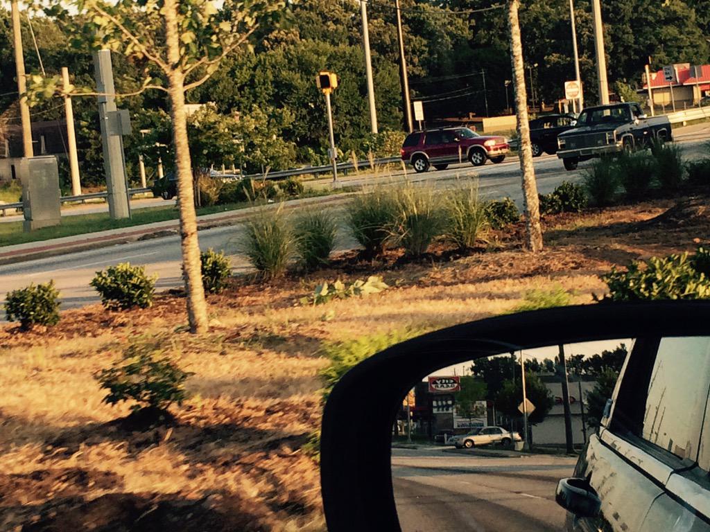 EMDCID's tweet photo. .@EMDCID #beautification project close-up. S/o to @SnapfingerManor for pics. Great work by @RLG_LLC #SouthDeKalb #CID http://t.co/tpHK7sWbCI