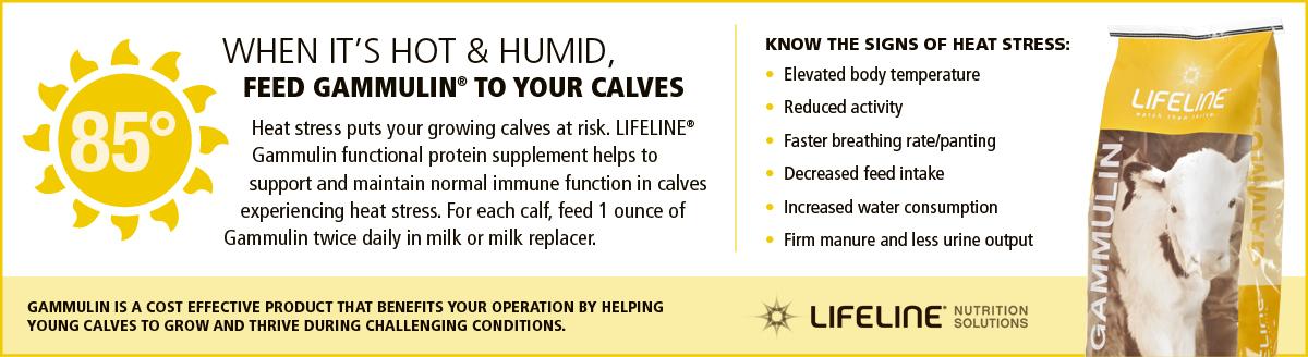APCLifeline's tweet photo. Learn more about #LIFELINE Gammulin here: http://t.co/riupg0mk5w
#WatchThemThrive http://t.co/K7B8XPFH4Q