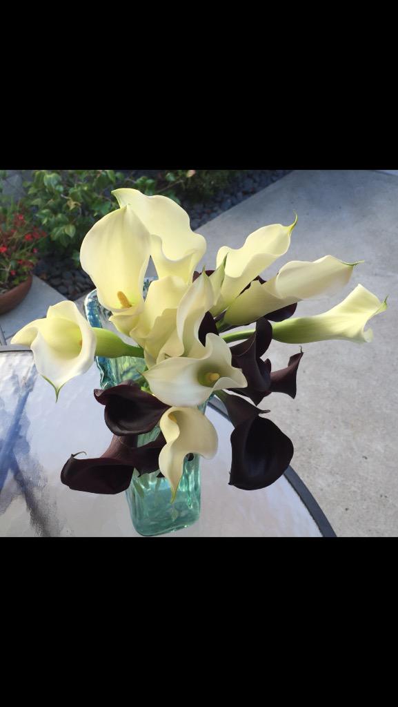 jennaroseschlossman (@jennarose124) on Twitter photo 