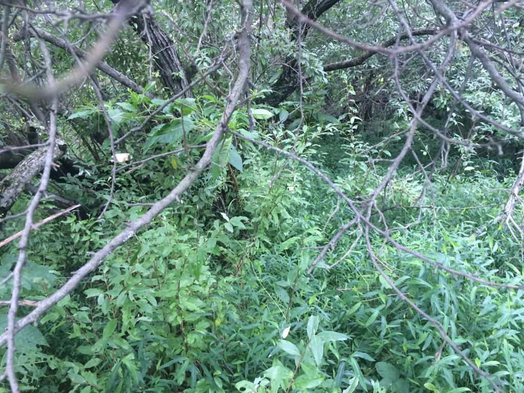 HuntingRb's tweet photo. After rain beauty http://t.co/25x8rp7hmR