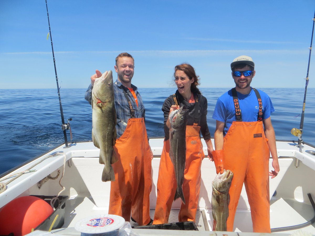 nefishmongers's tweet photo. It's not hard to mix business with pleasure when you are out in the ocean on a day like this! #newenglandseafood http://t.co/ivjW65xWXU