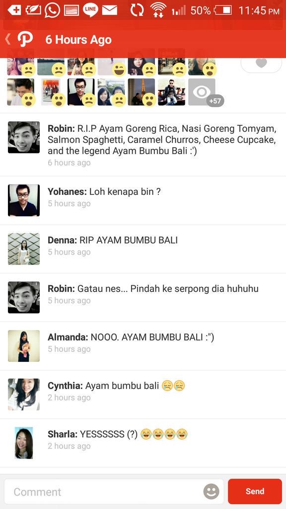 Robin tweet media