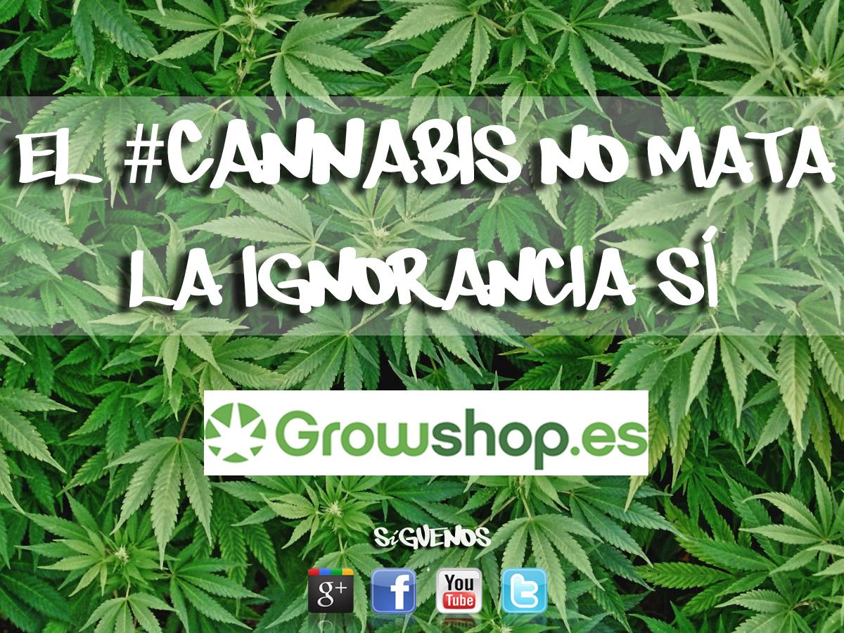 GrowShopES's tweet photo. "El cannabis no mata, la ignorancia sí" GrowShop.es #marihuana http://t.co/KNxsDNq4mv