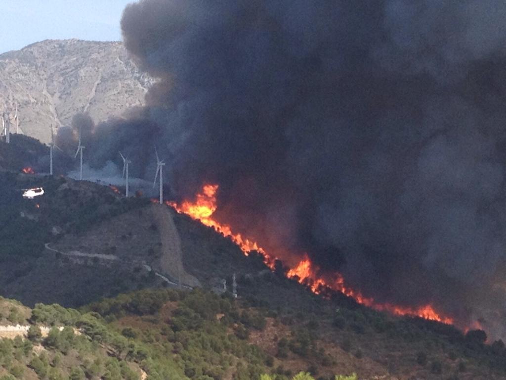 ccambrils's tweet photo. El Ayto de Lújar acaba de confirmar a @adirecto que el fuego ya ha calcinado las primeras viviendas #ifgualchos http://t.co/GBsL4adbcU
