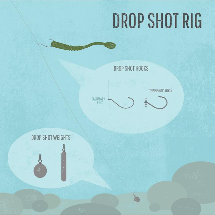 jaron_barnes's tweet photo. Tips on using the drop shot rig for bass by @LureLabs http://t.co/47QFJ8Roun http://t.co/sOFzWKHF8N