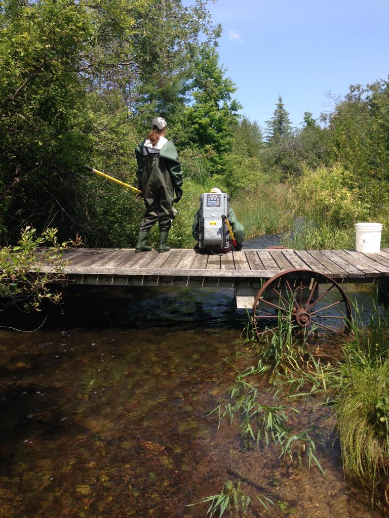 Rowshyra's tweet photo. But today is a lovely day for electro-fishing! #fishes #gonesampling #efishing #earlydetection http://t.co/CEpw6kprBw