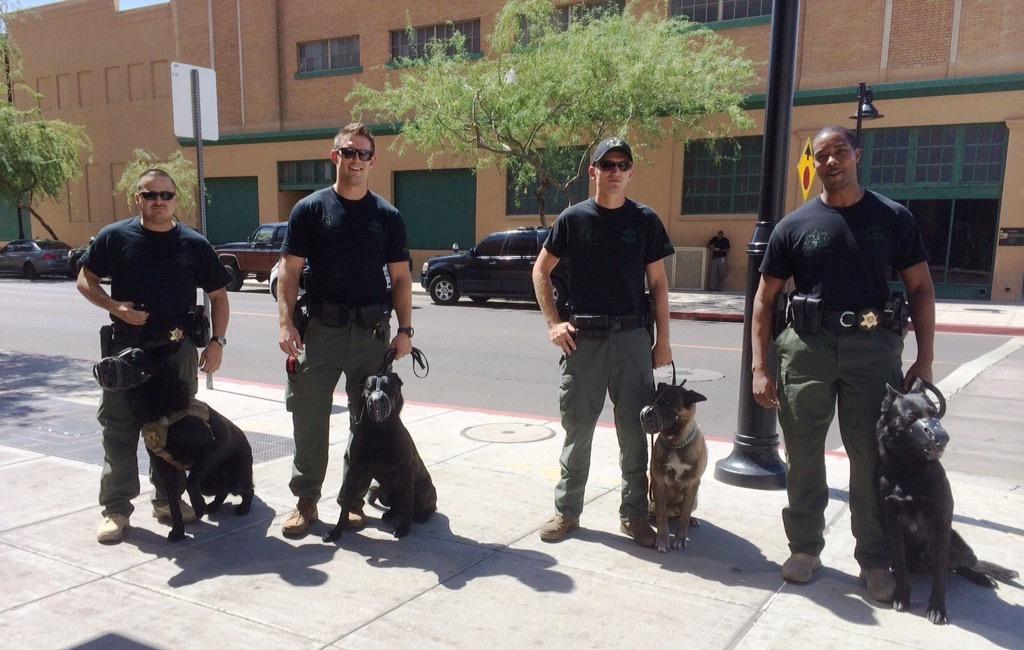 MCSOCommunity's tweet photo. MCSO Proud: The Sheriff's Office K-9 Unit http://t.co/nlw2HnTayW