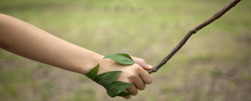 ISOTools_MX's tweet photo. ¿Por qué es importante registrar los aspectos ambientales? http://t.co/Ns43rKLQDY #ISO14001 http://t.co/G9cwTH9S7i