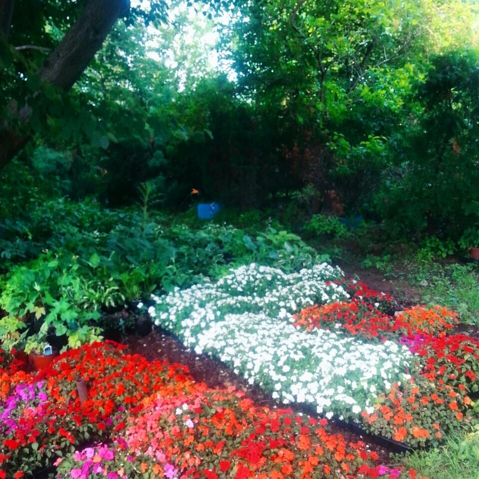 Sweet_firefly's tweet image. My photography I get my camera  soon