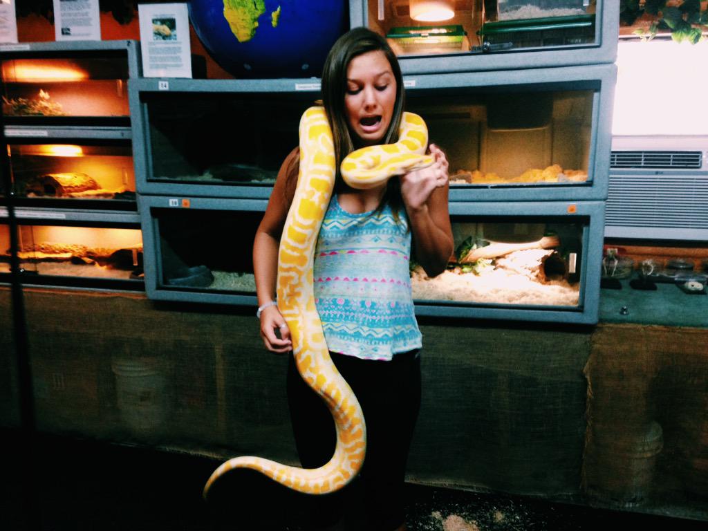 lauren_ashh99's tweet image. Got to hold these cute animals🐍🐒 #albinoballpython #kinkajou