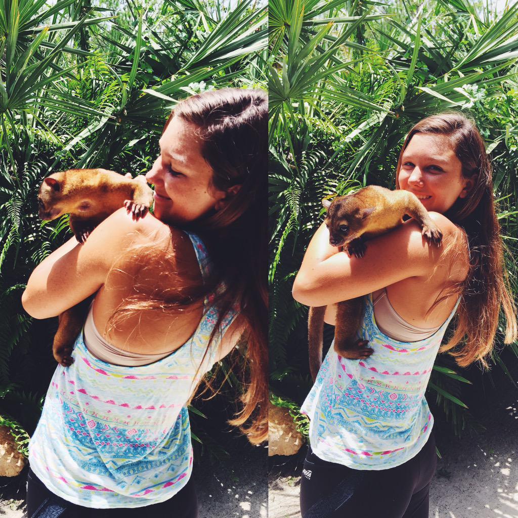 lauren_ashh99's tweet image. Got to hold these cute animals🐍🐒 #albinoballpython #kinkajou