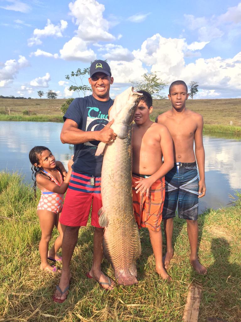 fish Pirarucu