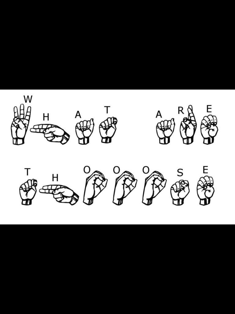 theyungdrew's tweet image. When the deaf kid pull up with sketchers