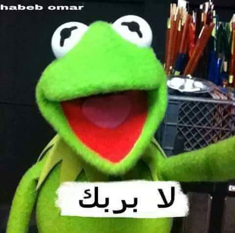 @r24015575 <a href="/NanseAjrm18/">ْحـلم الفــراشاتْ</a> @c21165e1b67c43a @Roesee1 <a href="/s/">『S』</a>
