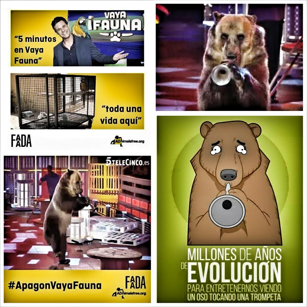 LeChuckVCF's tweet photo. Antes de poner Tele5 esta noche piensa si quieres colaborar en la tortura de los animales. #ApagónVayaFauna http://t.co/IXsyRCGhpI