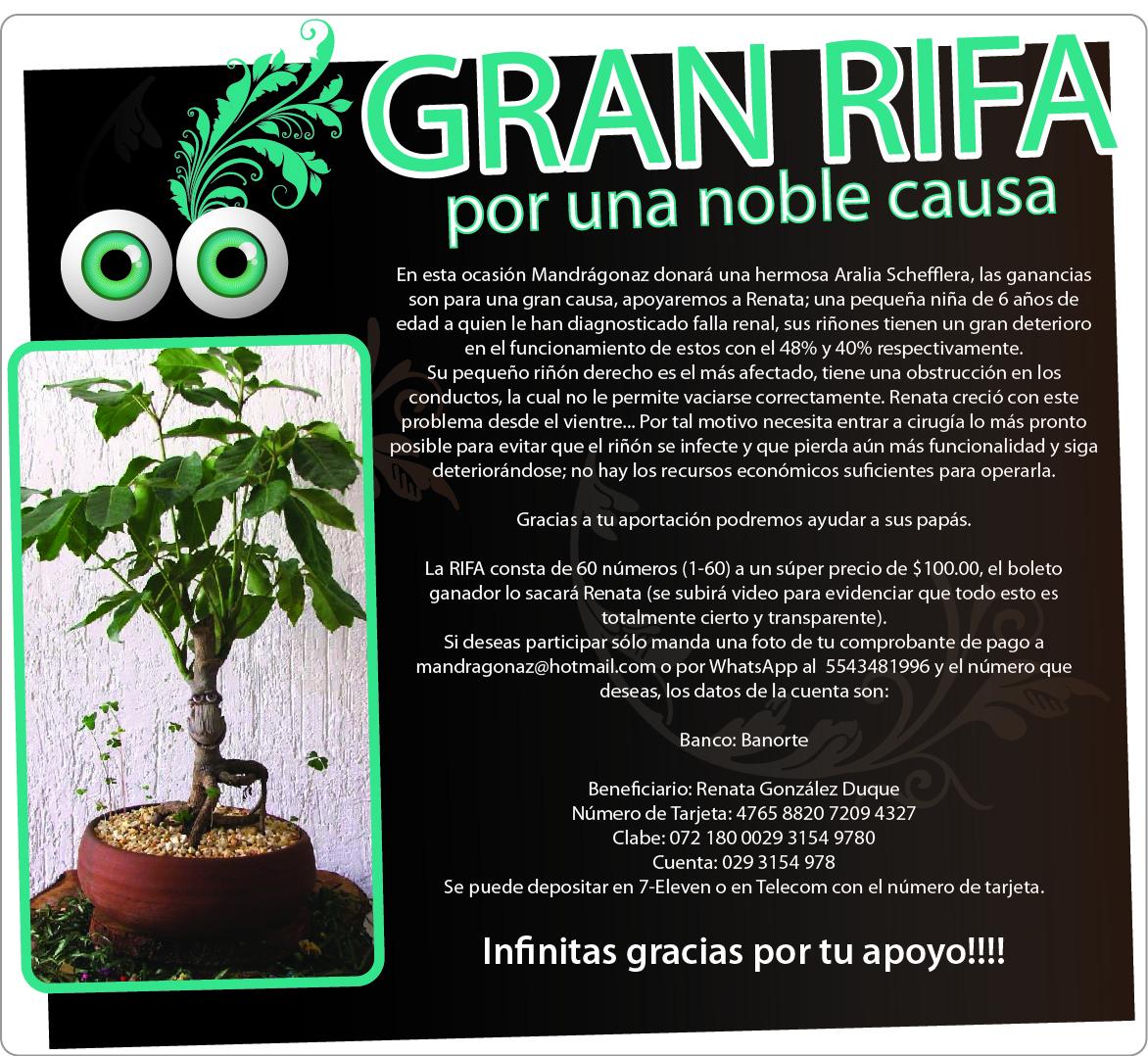 Know_haus's tweet photo. Nuestros amigos de @Mandragonaz tuvieron esta gran y noble idea, Apoyemos!!! #ayudaarenata http://t.co/gHsLczRwRg