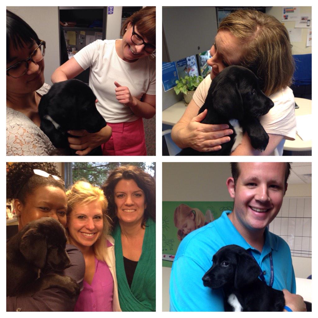 ChildrensMercy's tweet photo. A #BarkWeek play date with @GreatPlainsSPCA was the perfect remedy for a rainy day! #BarkAttack http://t.co/W0YqwJ1Kzj