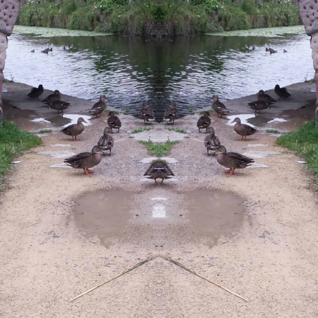 #mirrorphoto made by @loloapps