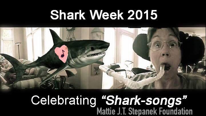 jenistepanek's tweet photo. #DDSHARKWEEKPROMO Mattie Stepanek Heartsongs & Celebrating SharkSongs. http://t.co/Y2w7aHLpiY