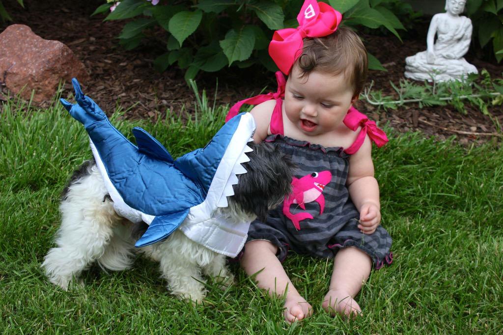 EliseColleenW's tweet photo. Celebrating the best week of the year! @SharkWeek #Sharkweek2015 http://t.co/roukHP7sPn