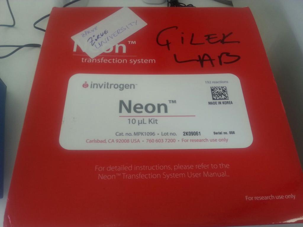 Undergrad research projects going on at @ZirveUniversite EBN Sch.of Med. Research must go on. Thank you...🍓