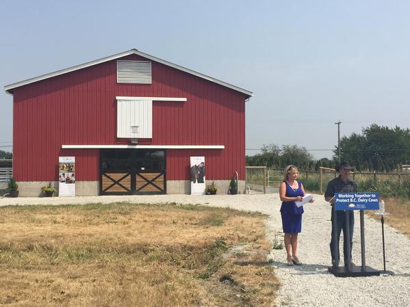 BCGovNews's tweet image. RT @BC_SPCA: . @NormLetnick announces Canadian Dairy Code will be adopted under animal cruelty law in #BC!